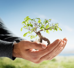 5 tips for an effective lead nurturing campaign