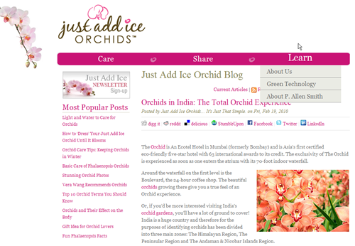 HubSpot Custom Design - Orchids