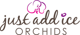 a great logo design helps you build your brand
