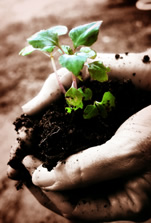 lead nurturing with hubspot