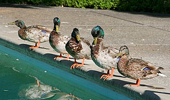 inbound marketing and social action