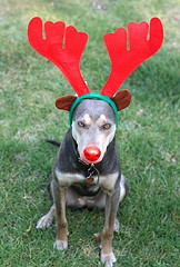 inbound marketing holiday