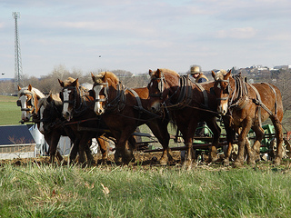 5 marketing automation challenges