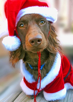 facebook holiday contests