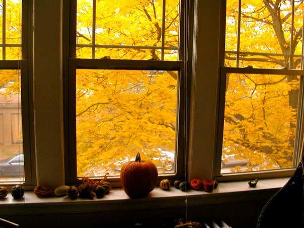 inbound marketing review halloween edition