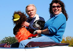 inbound marketing woollybear