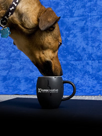 jazz up your facebook page with some cool photos