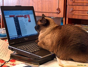 protect your inbound marketing client