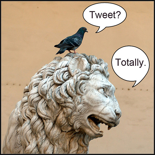 social media taboos