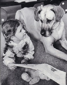 storytelling content marketing