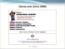 1996 Clorox Website Audit
