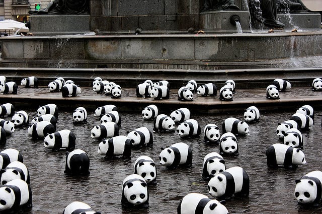are you having a panda nightmare?