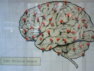 Inbound Marketing for the Human Brain