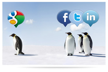 Social Media Penguins