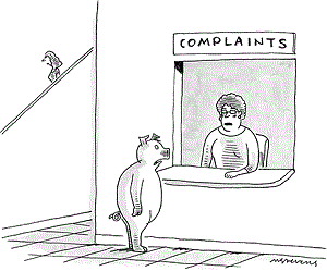 Social Media: The New Complaint Department