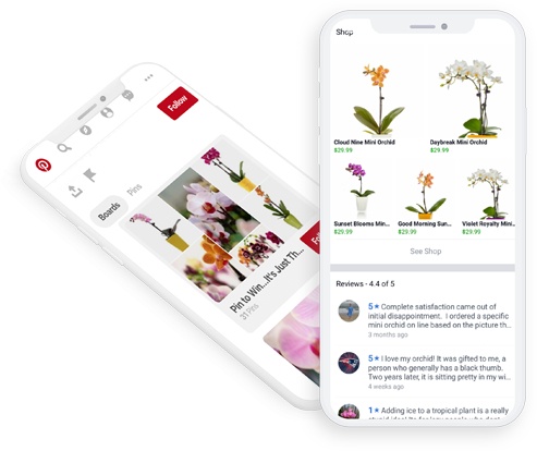 Successful Branding Case Study Kuno Creative - social media strategies