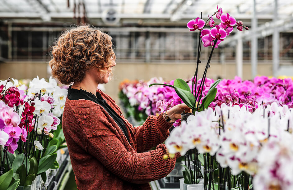 GCG-Case-Study-Results-Img